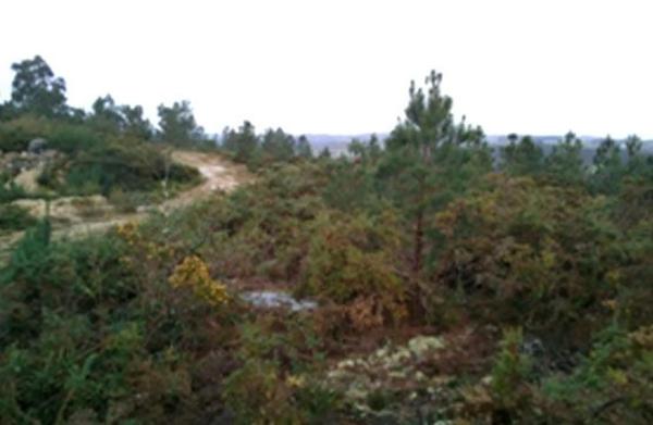 Terreno en Lamas de Cadron photo 3