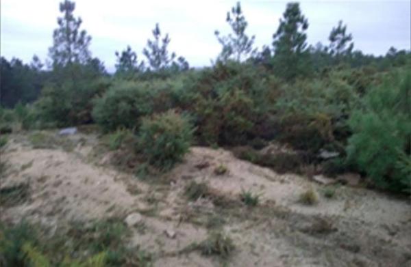 Terreno en Lamas de Cadron photo 4