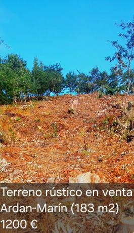 Terreno en moledo, 42 photo 4