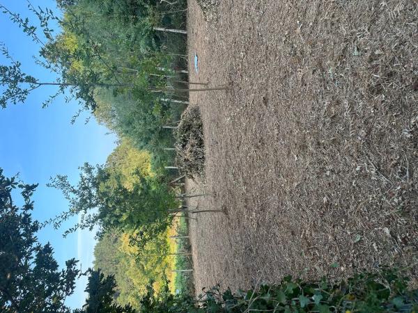 Terreno en sar s/n sinnumero photo 1