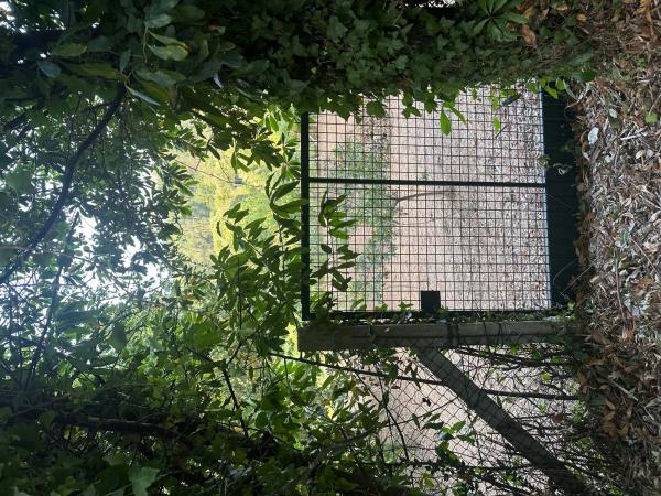 Terreno en sar s/n sinnumero photo 2