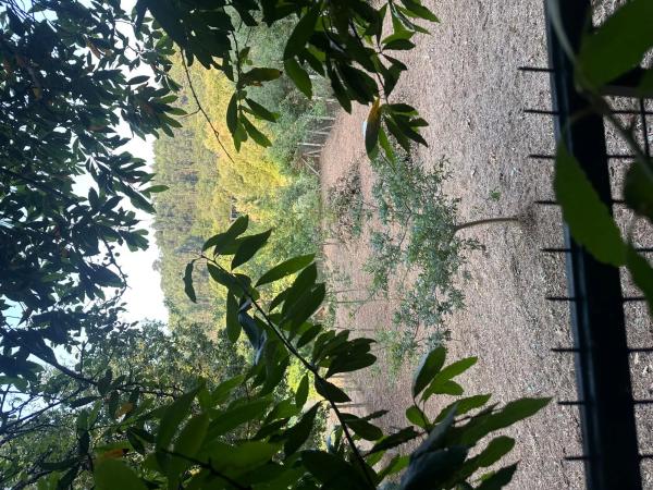 Terreno en sar s/n sinnumero photo 3