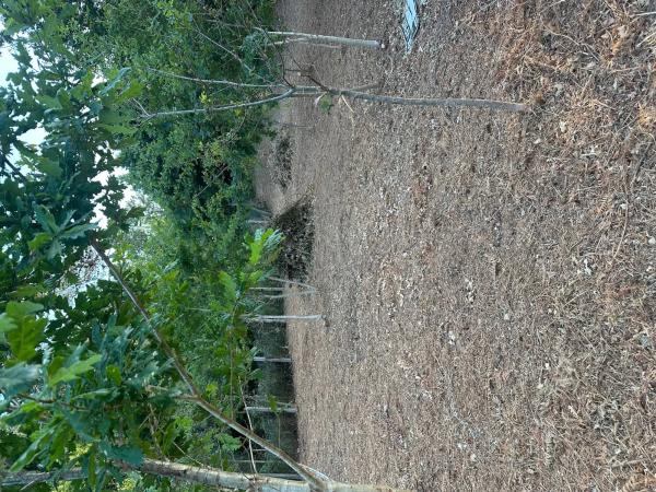 Terreno en sar s/n sinnumero photo 4