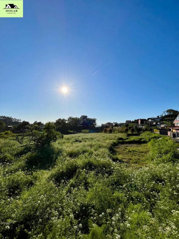 Land for sale in Marin, Pontevedra photo 5