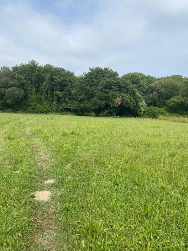 Land for sale in Cangas, Pontevedra photo 3