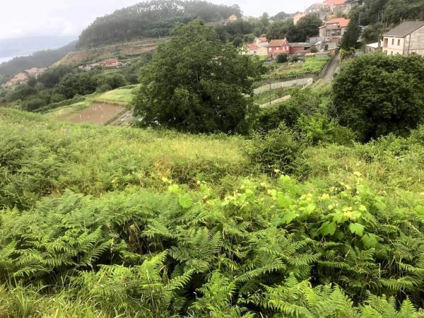 Terreno en Ardan photo 1