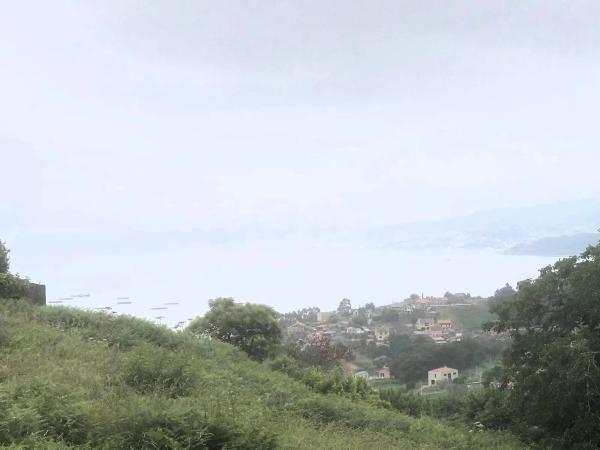 Terreno en Ardan photo 3