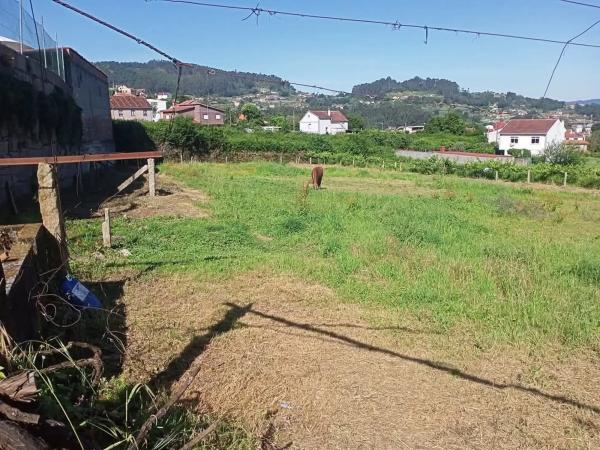 Terreno en Lugar Iglesario, 24 photo 3