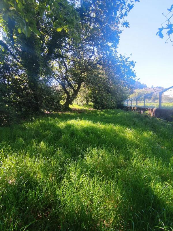 Land for sale in Cangas, Pontevedra photo 5