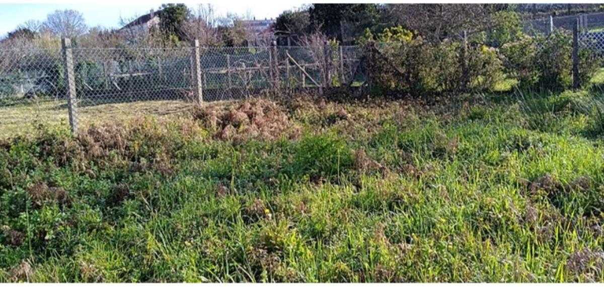 Terreno en venta en Marin, Pontevedra photo 3