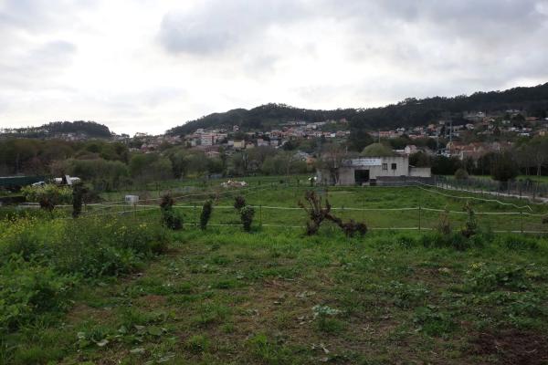 Terreno en Coiro photo 4