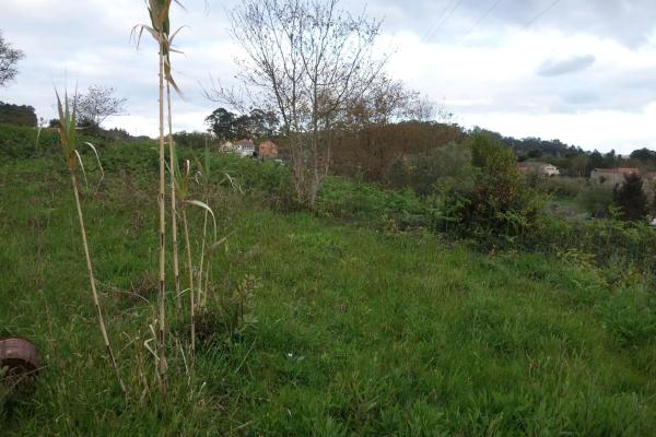 Terreno en Coiro photo 1