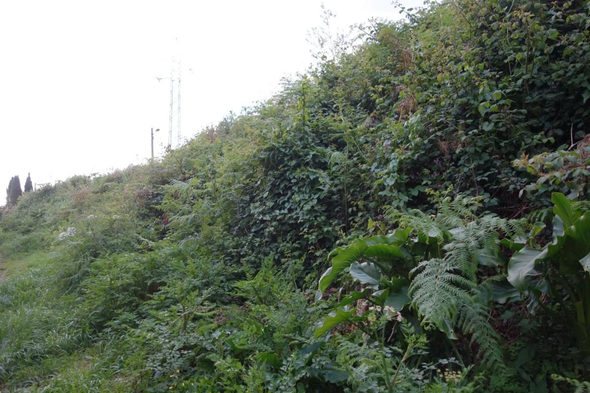 Land for sale in Cangas, Pontevedra photo 3