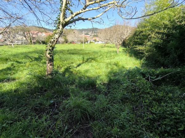 Terreno en Coiro photo 3