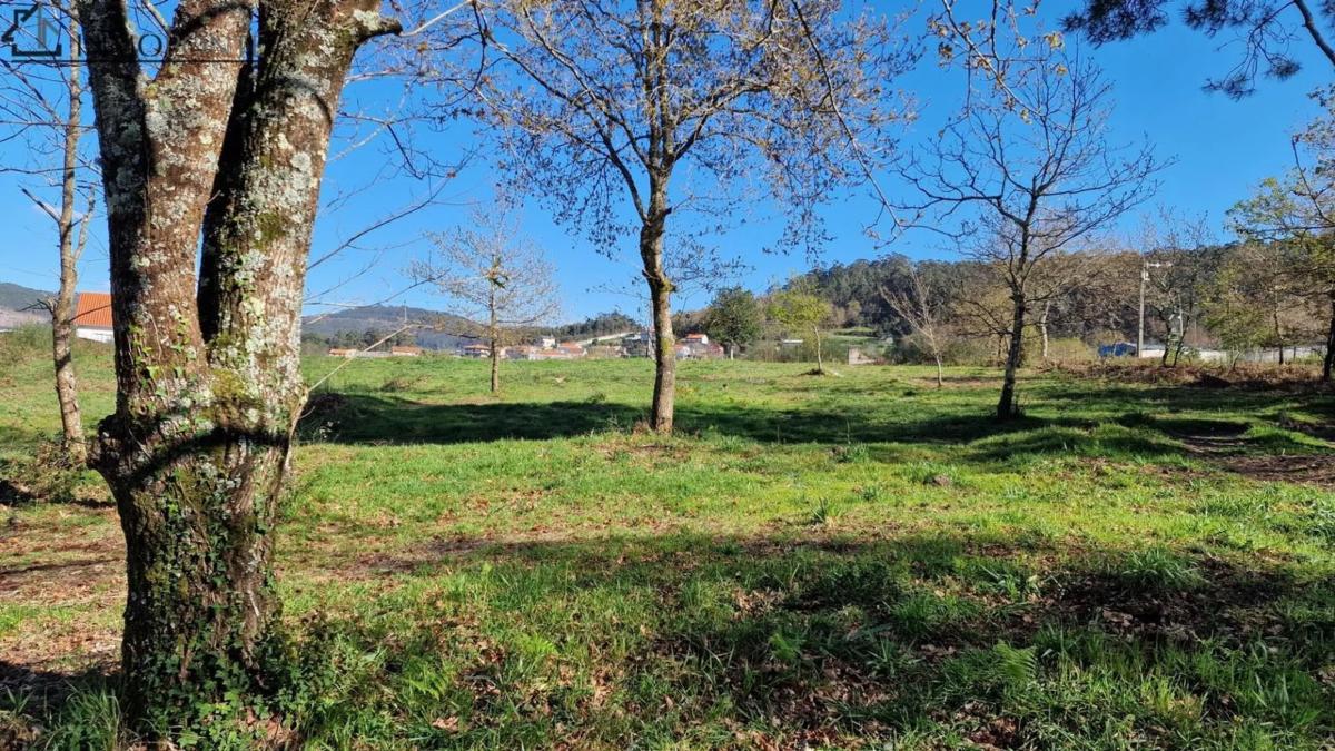 Land for sale in Marin, Pontevedra photo 2