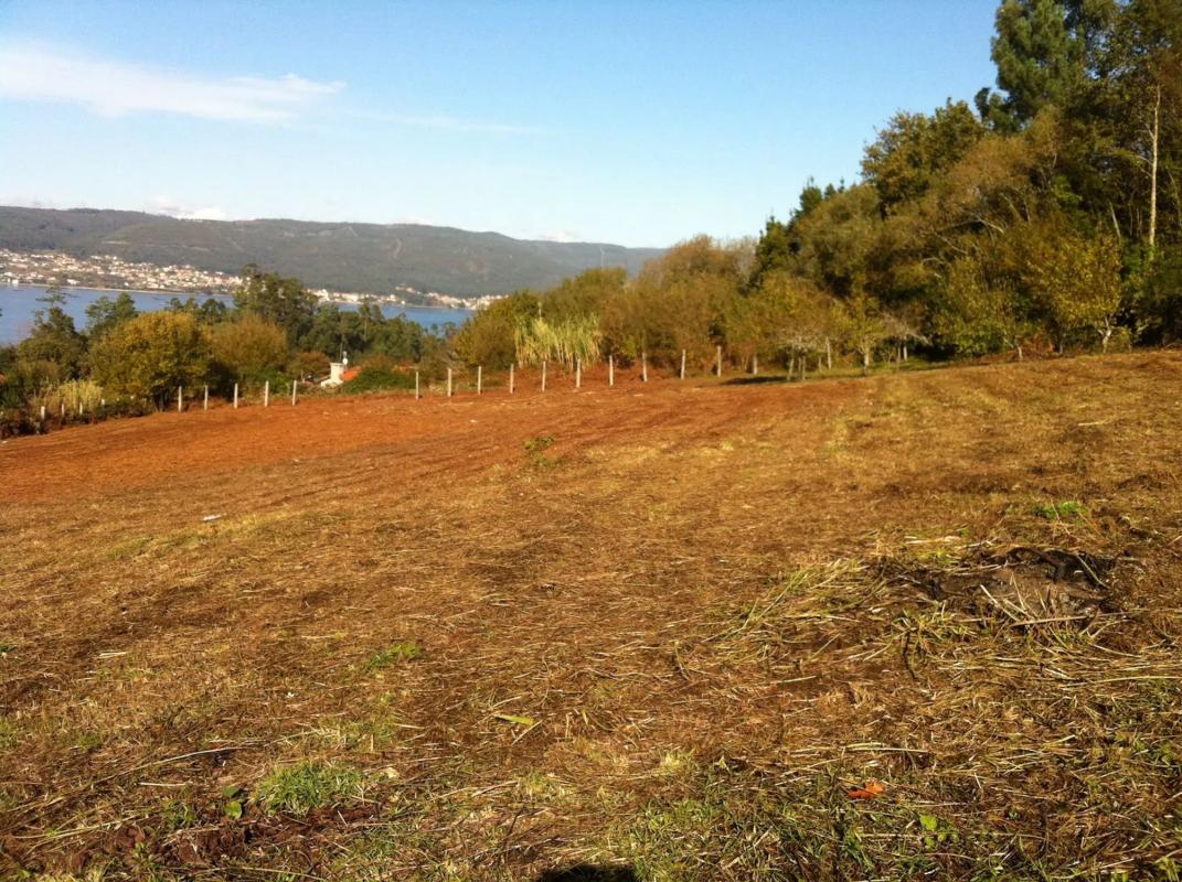 Land for sale in Marin, Pontevedra photo 5