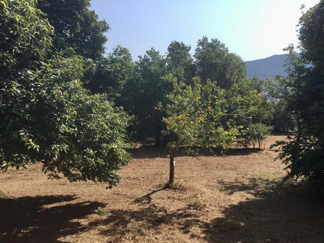 Terreno en venta en Marin, Pontevedra photo 2