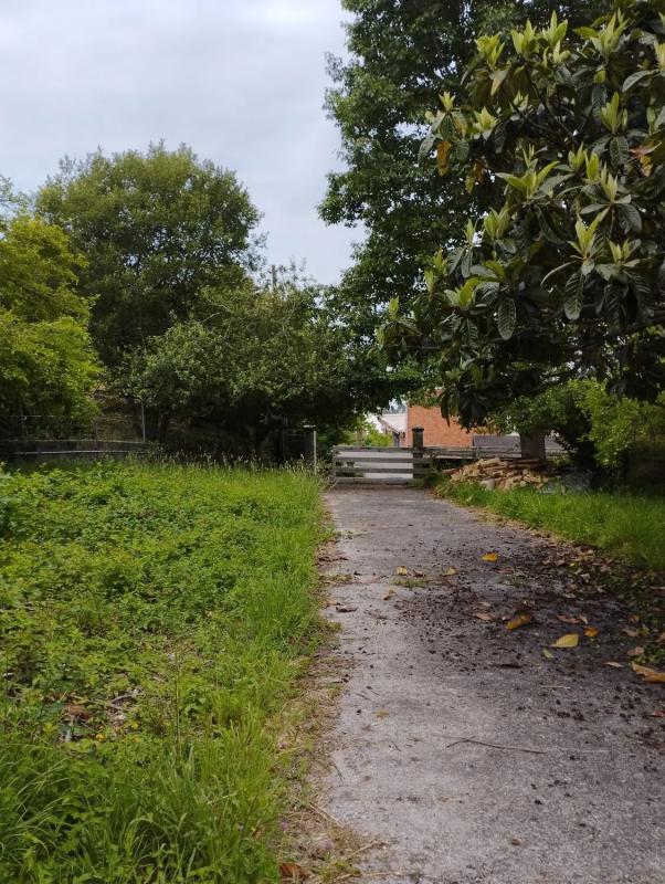 Land for sale in Marin, Pontevedra photo 3