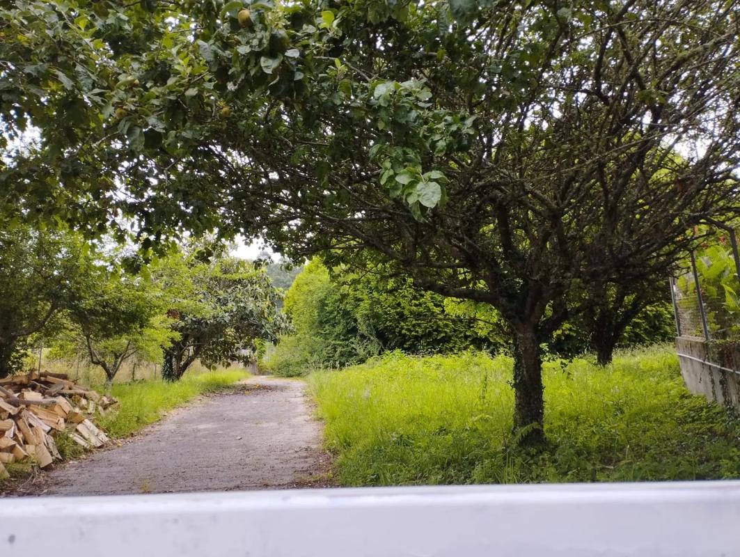 Land for sale in Marin, Pontevedra photo 4