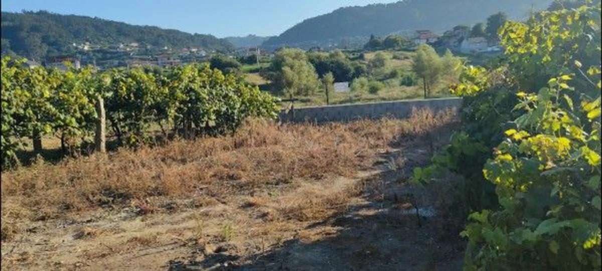 Terreno en venta en Marin, Pontevedra photo 5