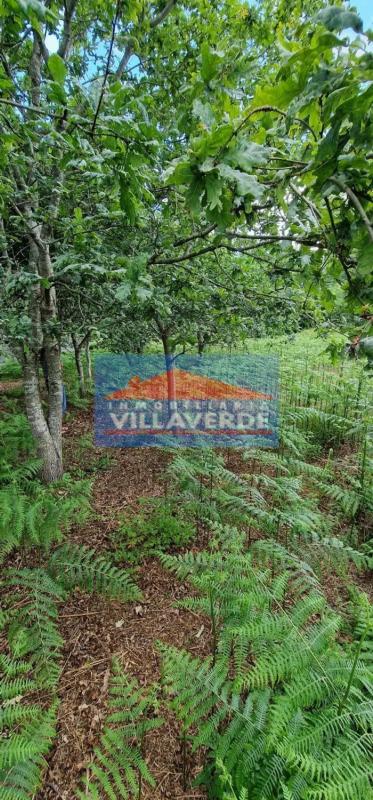 Terreno en venta en Bueu, Pontevedra photo 4