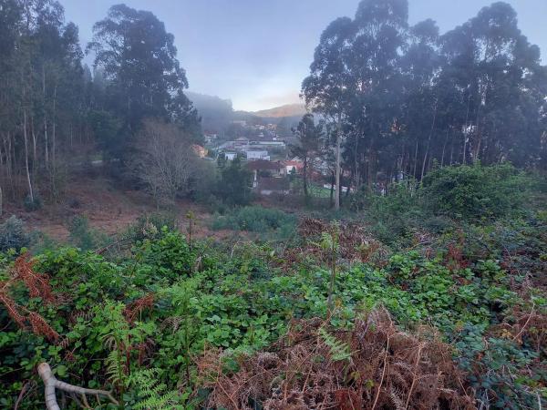 Terreno en Darbo photo 1
