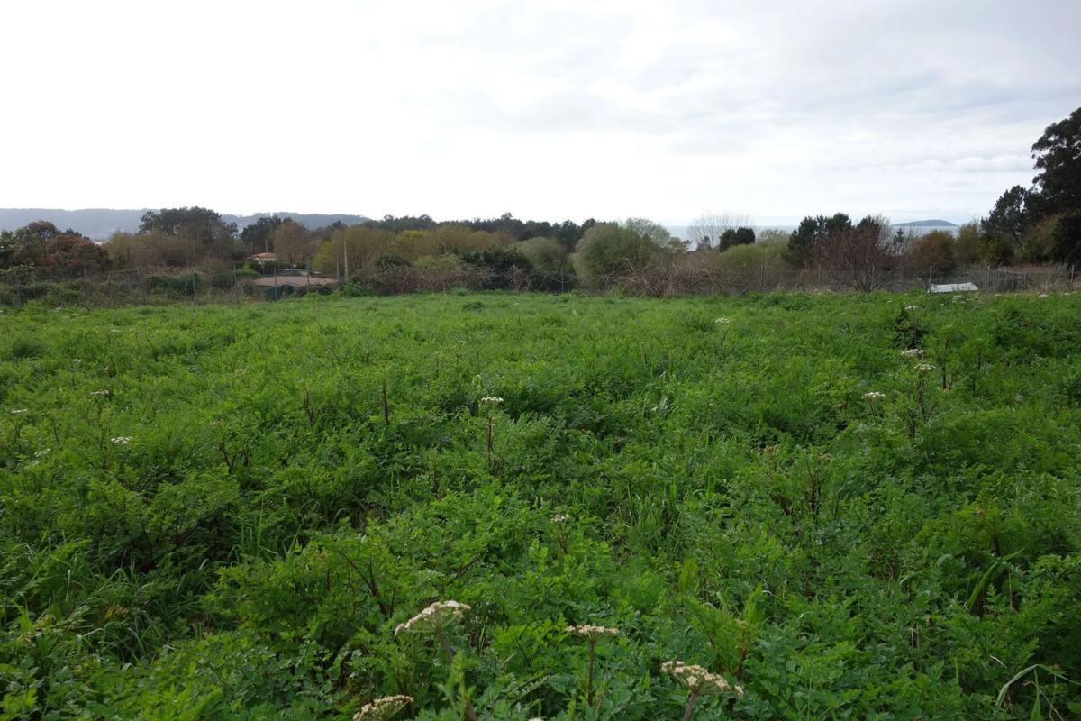 Terreno en venta en Bueu, Pontevedra photo 2