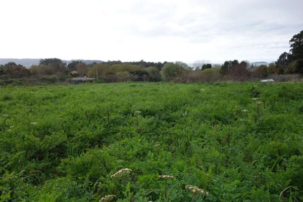 Terreno en Bueu photo 2
