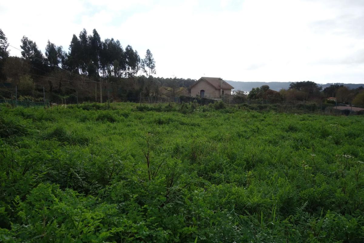 Terreno en venta en Bueu, Pontevedra photo 3