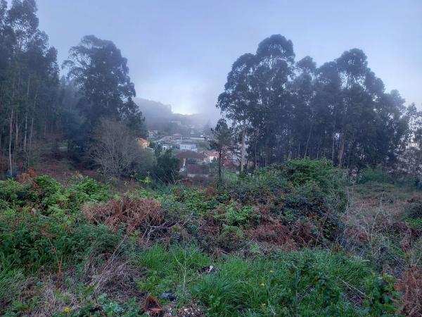 Terreno en Darbo photo 4