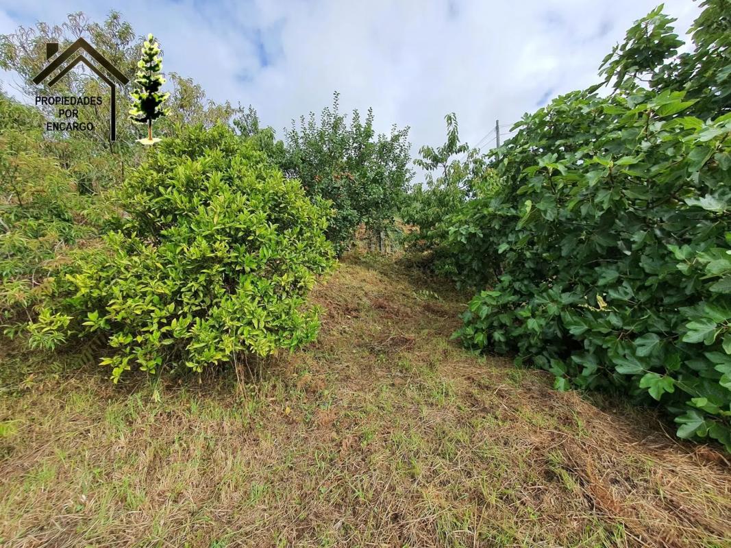 Terreno en venta en Moaña, Pontevedra photo 5