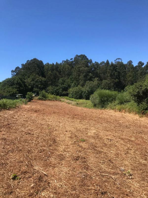 Terreno en venta en Bueu, Pontevedra photo 1