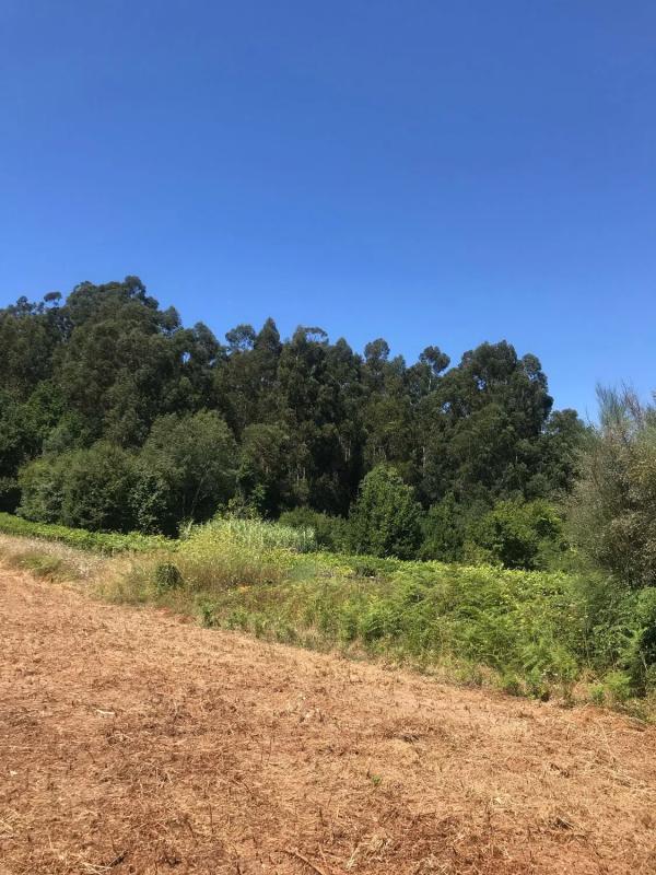 Terreno en venta en Bueu, Pontevedra photo 3