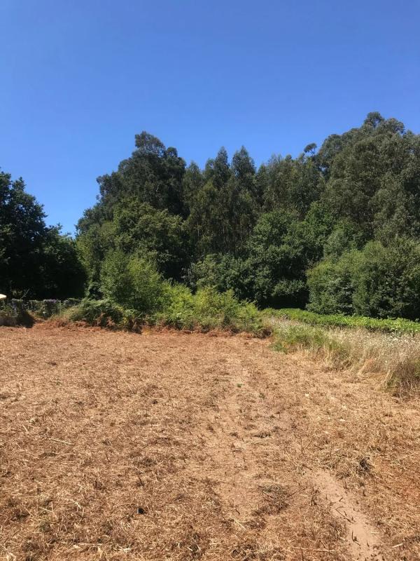 Terreno en venta en Bueu, Pontevedra photo 5