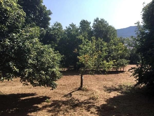 Terreno en Marin photo 1