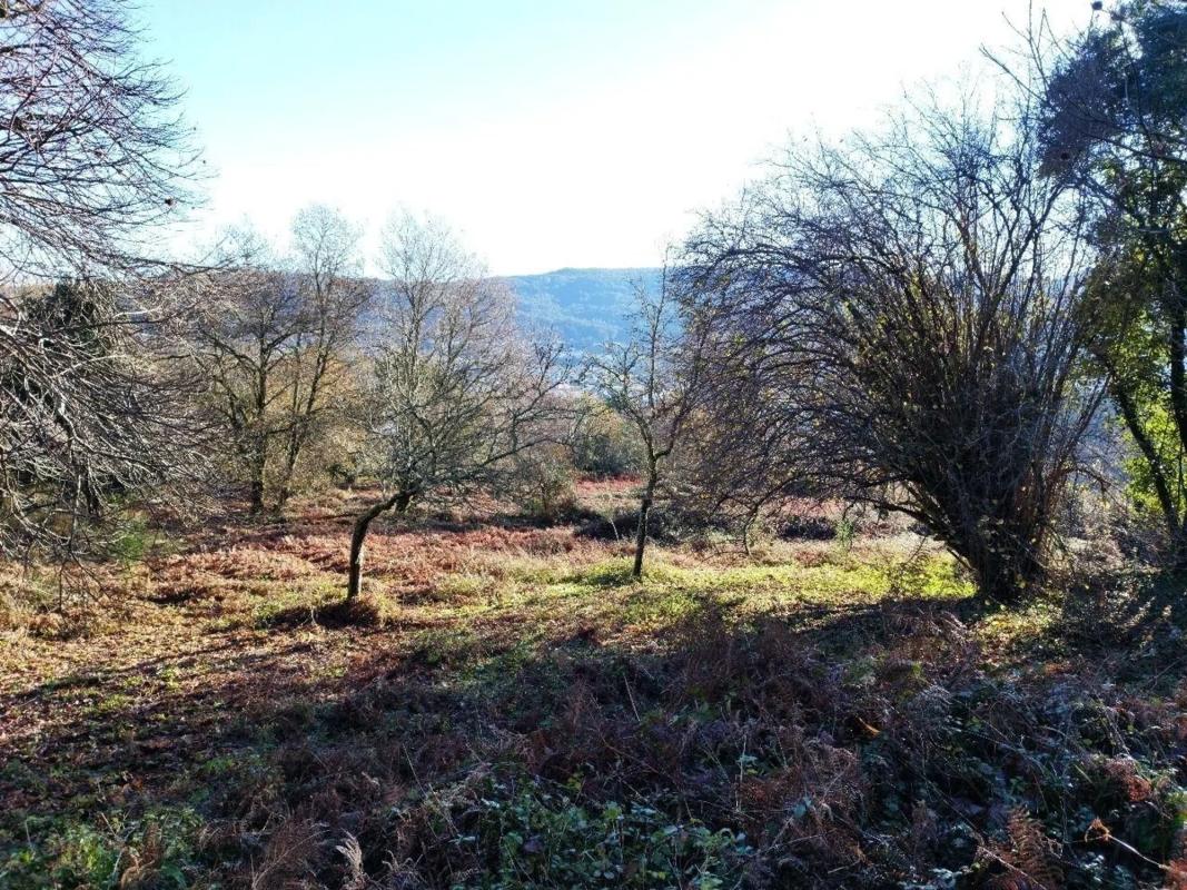 Terreno en venta en Marin, Pontevedra photo 3