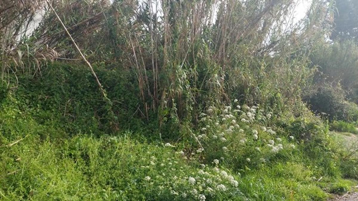 Land for sale in Moaña, Pontevedra photo 2