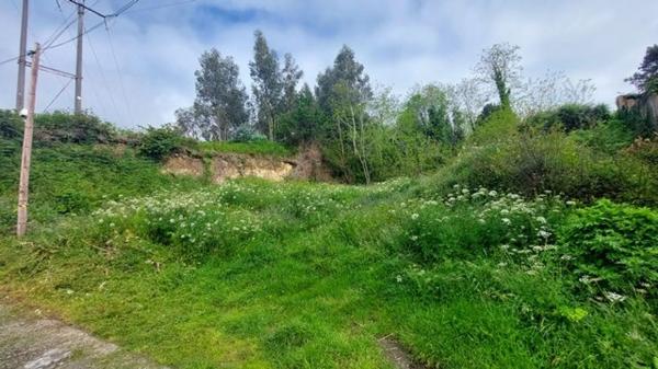 Terreno en o reibon photo 2