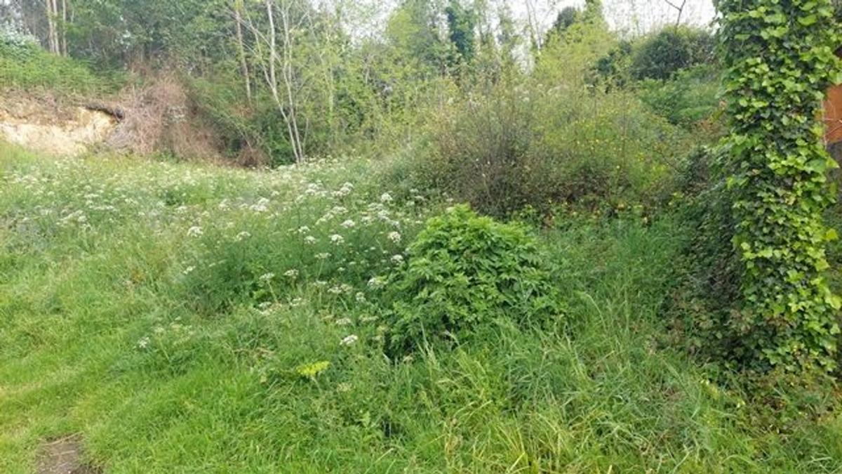 Terreno en venta en Moaña, Pontevedra photo 3