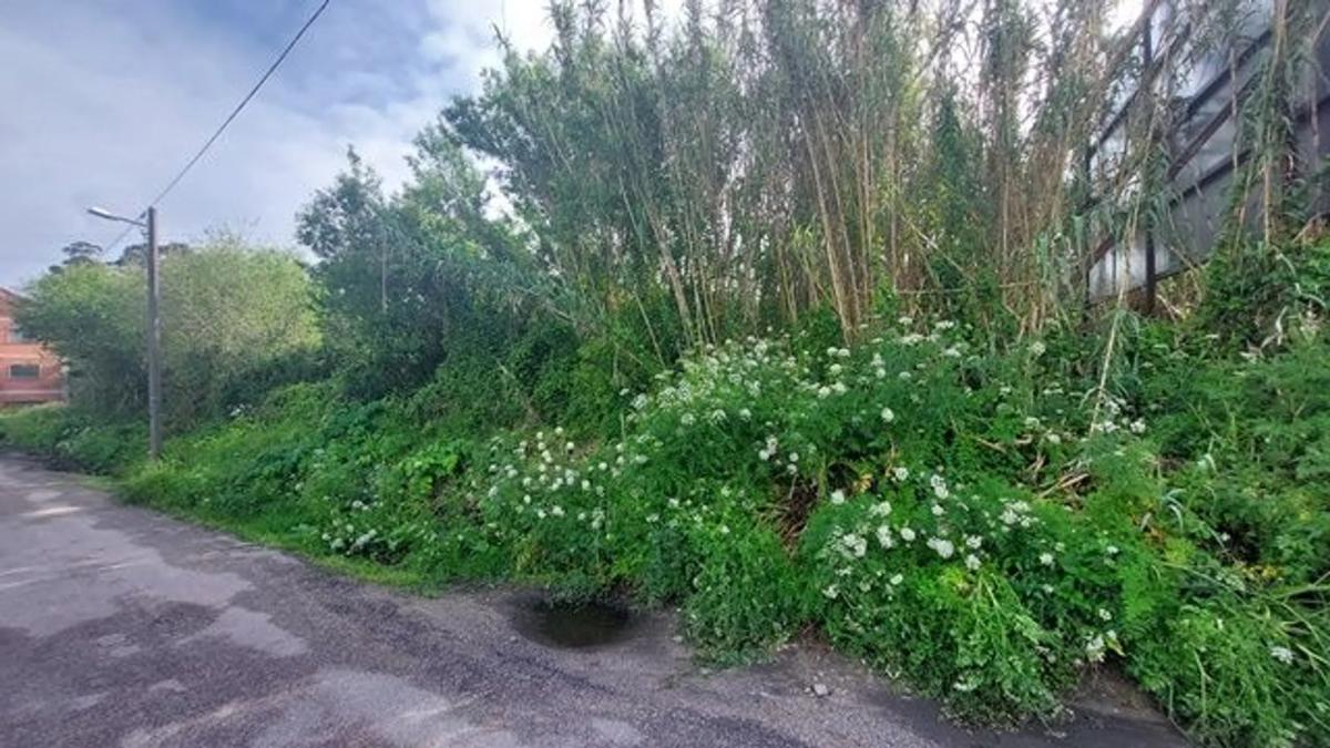 Land for sale in Moaña, Pontevedra photo 2