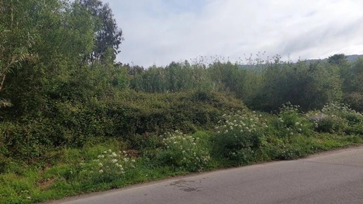 Land for sale in Moaña, Pontevedra photo 3