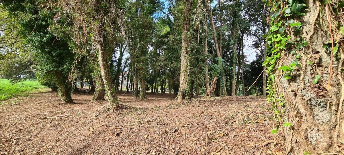 Terreno en venta en Cangas, Pontevedra photo 1