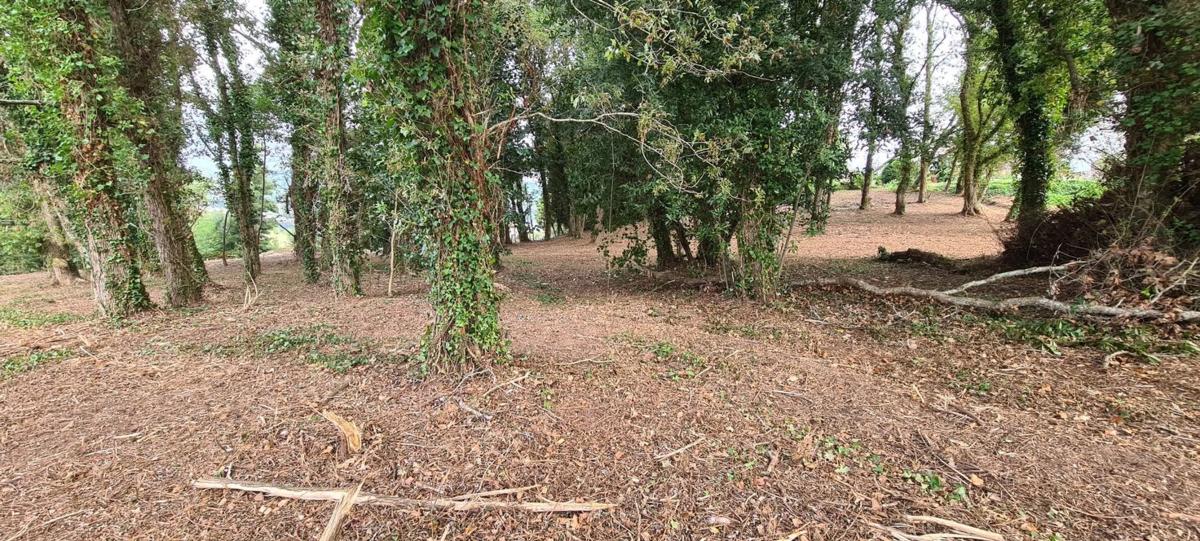 Terreno en venta en Cangas, Pontevedra photo 2