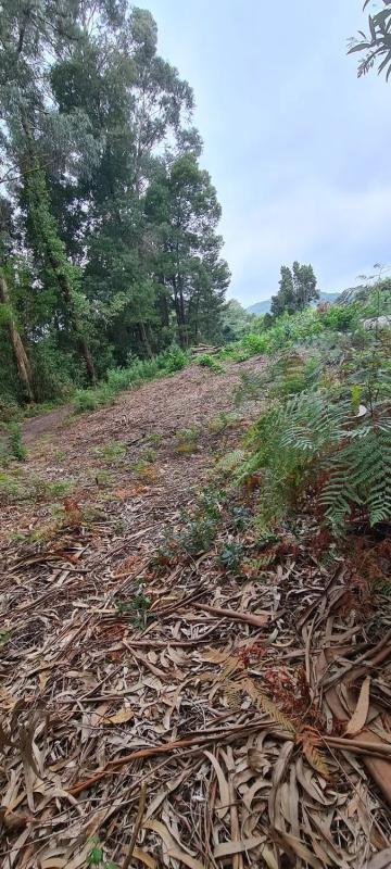 Terreno en venta en Cangas, Pontevedra photo 5