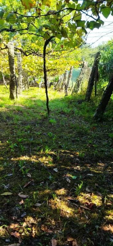 Terreno en venta en Cangas, Pontevedra photo 1