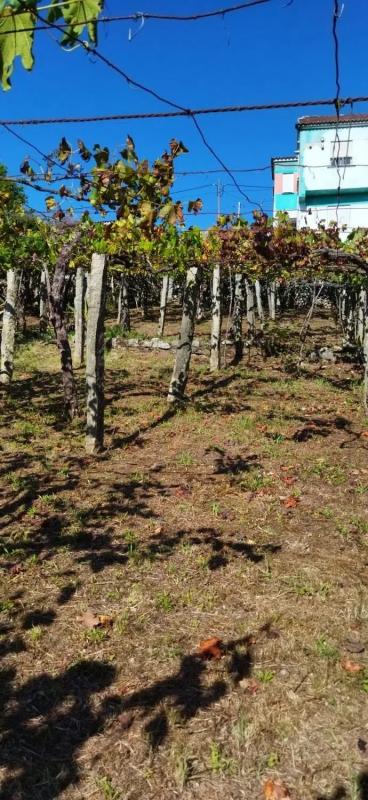 Terreno en venta en Cangas, Pontevedra photo 2
