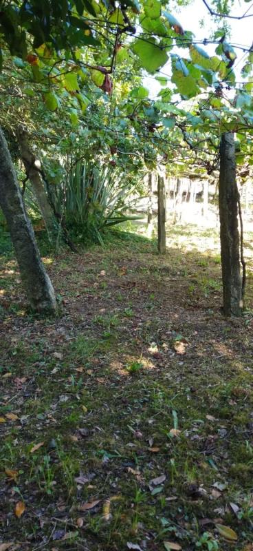 Terreno en venta en Cangas, Pontevedra photo 3