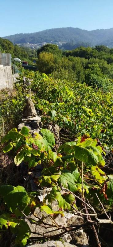 Terreno en venta en Cangas, Pontevedra photo 4