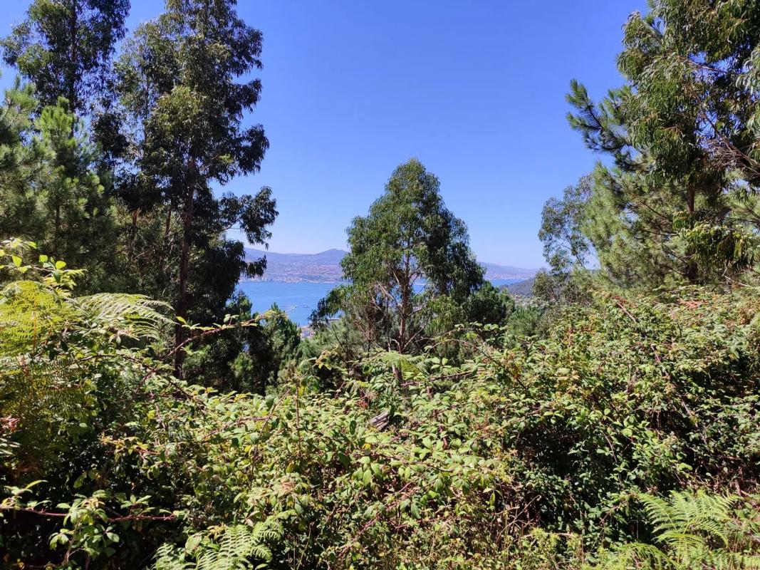 Terreno en venta en Moaña, Pontevedra photo 5