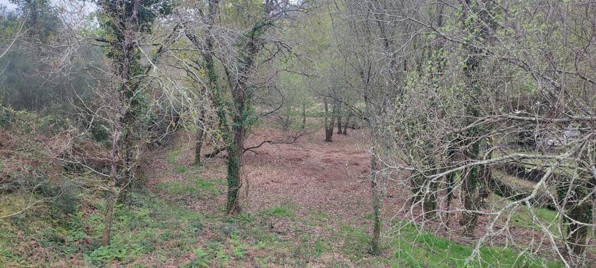 Terreno en venta en Cangas, Pontevedra photo 1